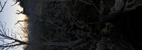 Notre Dame du Mont Carmel [26-03-2022](IMG_4661).jpg